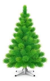 Photo of Christmas tree (Central Marin, preferablly) #1