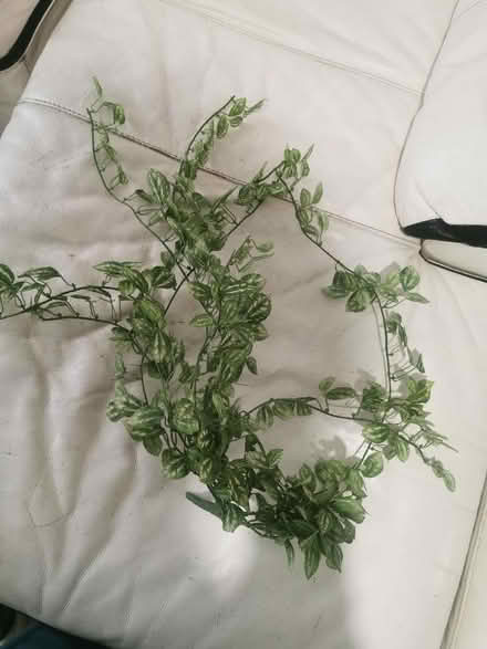 Photo of free Artificial plant (Longsight M12) #1