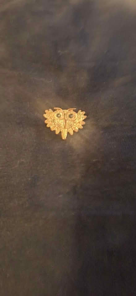 Photo of free Owl broach (Finchley N2) #1