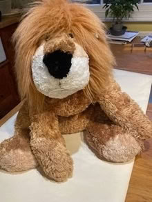 Photo of free Large cuddly lion (Llandrindod LD1) #2