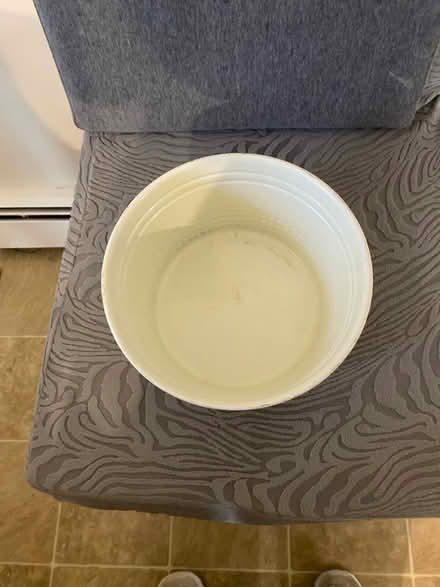 Photo of free Planter (Cary near Reedy Creek schools.) #3