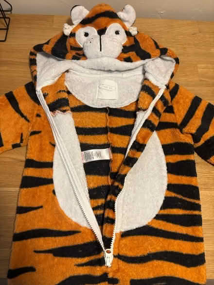 Photo of free Tiger onesie Age 3 - 4 (Lansdown, BA1) #1