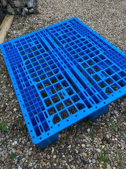 Photo of free Plastic Pallet - euro pallet size (Wroxham NR12) #1
