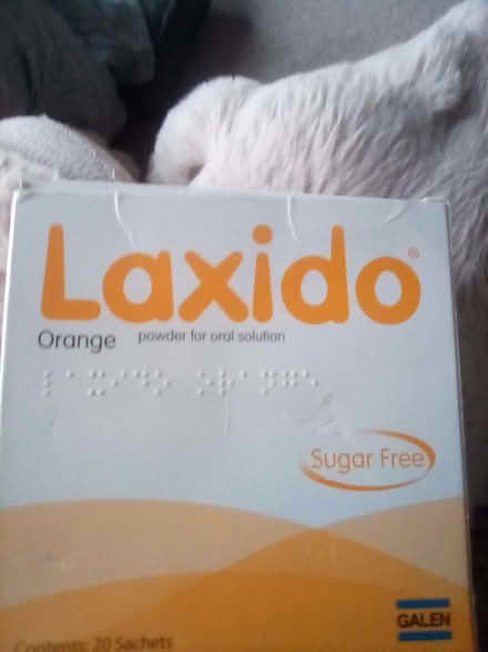 Photo of free Laxido (Eastbourne BN21) #1