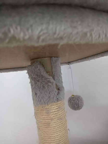 Photo of free Multi-level cat tree (W5) #3