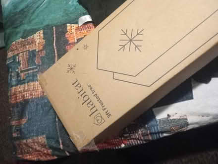 Photo of free Small Christmas tree (WA5) #2