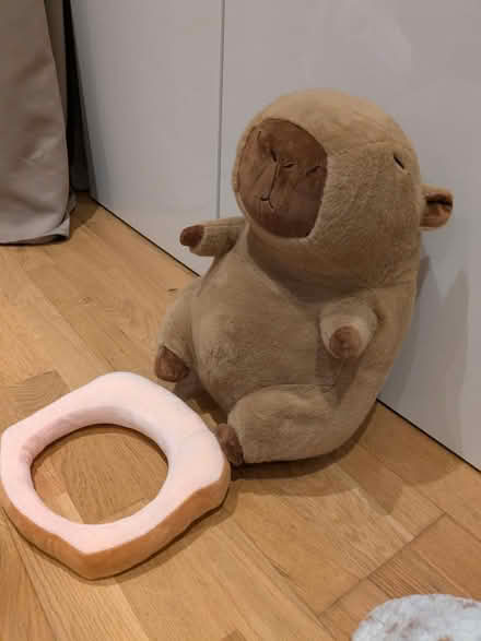 Photo of free Plash, soft toy, medium Capybara (Earley, RG6) #2