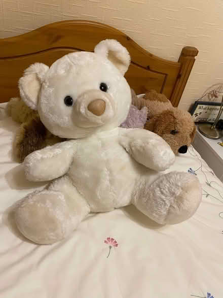 Photo of free White teddy bear (CT10) #1