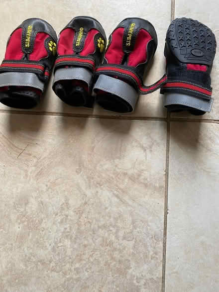 Photo of free Dog booties (King city) #1