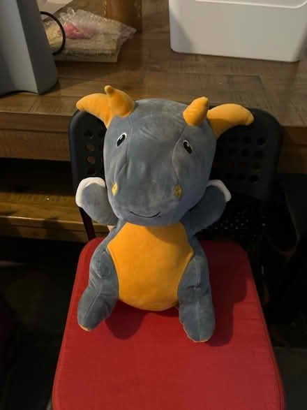 Photo of free Dragon cuddly toy (Emmer Green (RG4)) #1