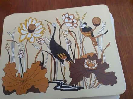 Photo of free Place Mats (Arnold NG5) #1