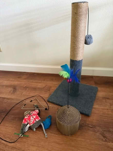 Photo of free Cat toys (Rancho Rinconada, Cupertino) #1