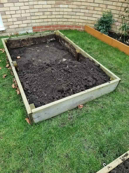 Photo of free Veg bed (Littleport CB6) #3