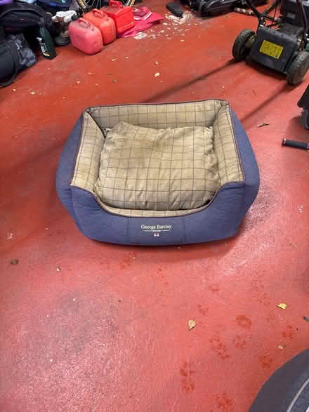 Photo of free dog bed (Bd20 8pb) #1