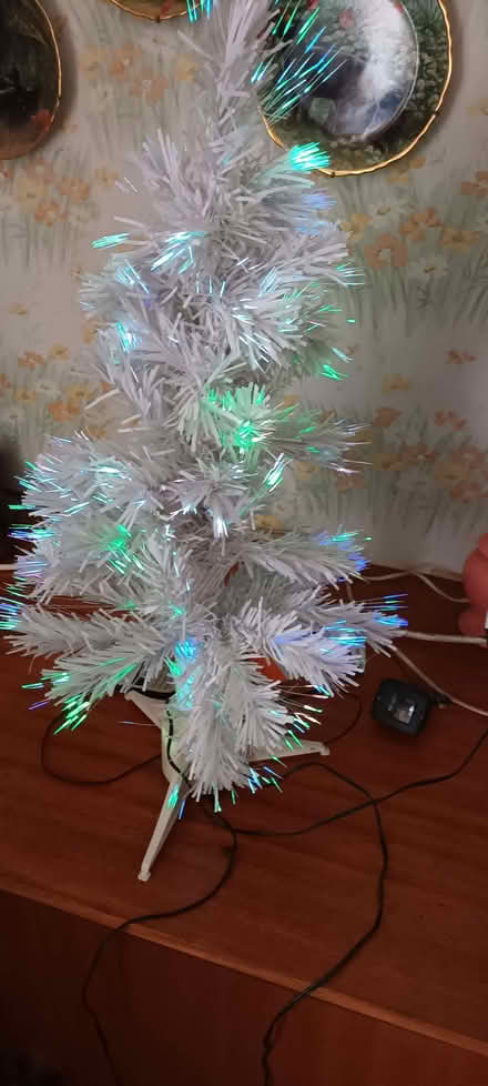 Photo of free Fibre Optic Christmas Tree (Higher Brixham TQ5) #2