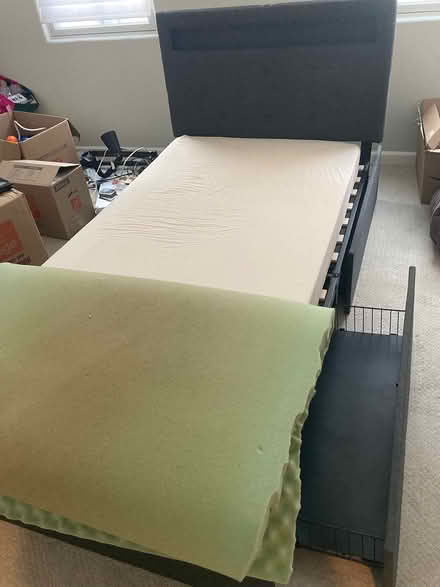 Photo of free Twin bed with mattress (West end) #3