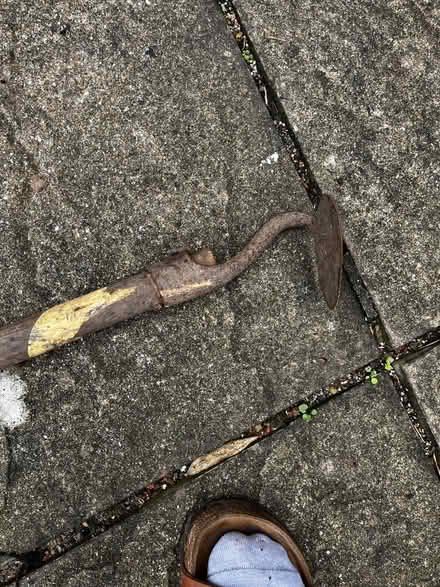 Photo of free Plowing gardening tool (Rottingdean BN2) #2
