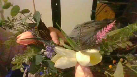 Photo of free wreath ring picks and lights (Bath BA2) #2