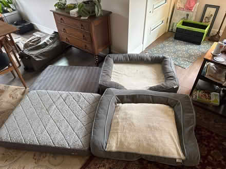 Photo of free Several large dog beds (Bigelow) #1