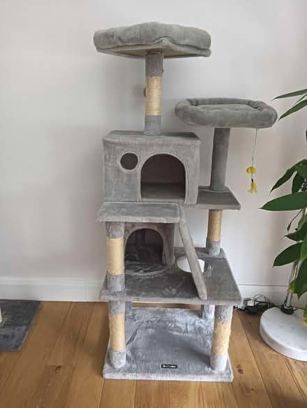 Photo of free Multi-level cat tree (W5) #1