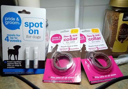 Photo of free Animal flea treatment (Orton Goldhay) #1