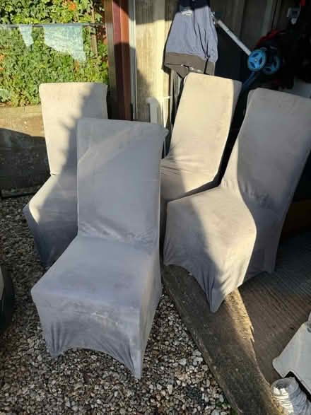 Photo of free Dining room chairs (Nantwich Cheshire) #3