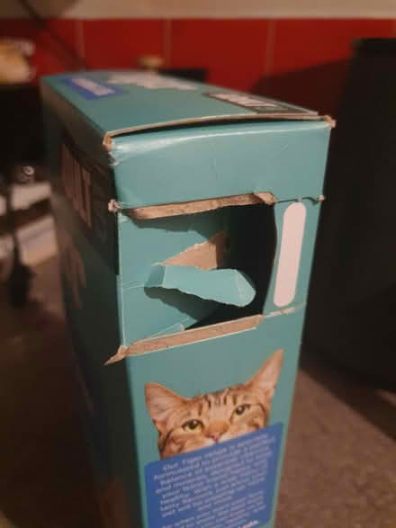 Photo of free Dry cat food, opened (Beckton E6) #2