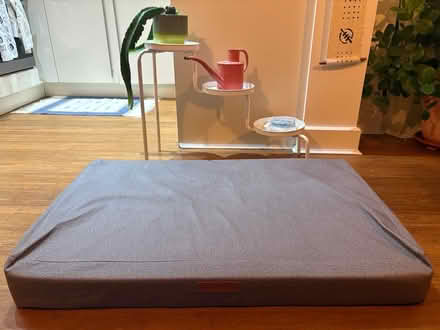 Photo of free Dog mattress / dog bed (AL1 st Albans station) #3