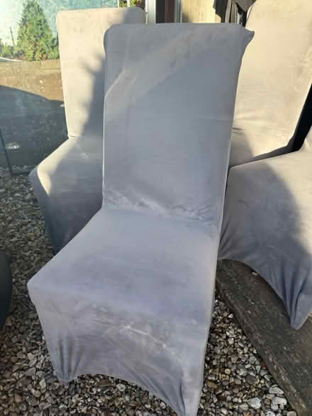 Photo of free Dining room chairs (Nantwich Cheshire) #2