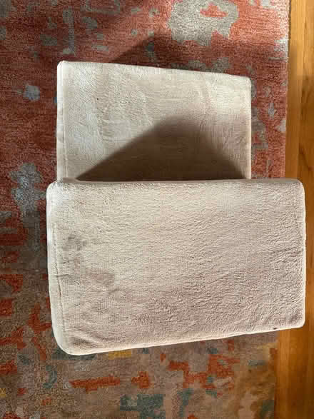 Photo of free Pet Steps (2) (Capitol Hill East DC) #1