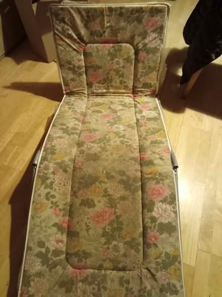 Photo of free Plants and sunlounger (Northwood Hills HA5) #1