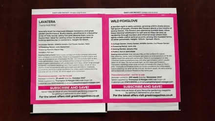 Photo of free Flower seeds (Peachcroft OX14) #2