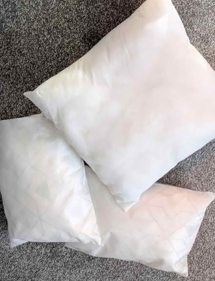 Photo of free Cushion inserts x 3 (Carmarthen) #2
