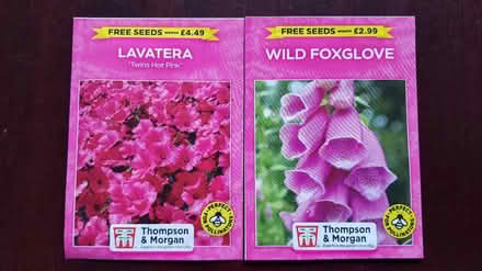 Photo of free Flower seeds (Peachcroft OX14) #1