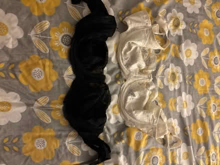 Photo of free Bras 38DD (Oxford OX33) #1