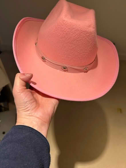 Photo of free Pink Cowboy hat (Marden, Devizes SN10) #1