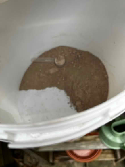 Photo of free diatomaceous earth (Rottingdean BN2) #2