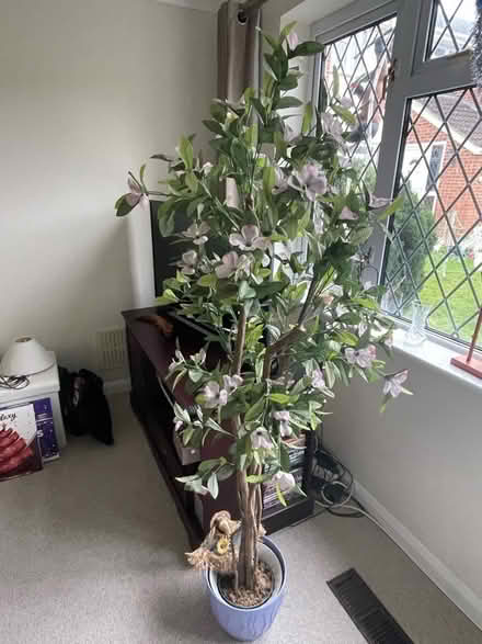 Photo of free Artificial plant (Holyport SL6) #1