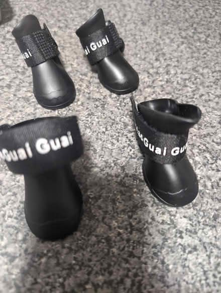 Photo of free Small dog boots (Roby) #1