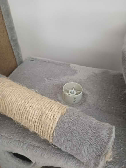 Photo of free Multi-level cat tree (W5) #4