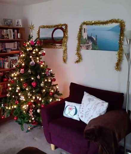 Photo of free 6ft Christmas Tree (Garforth LS25) #2