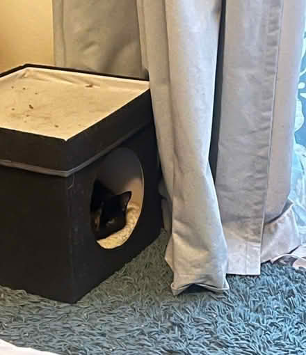 Photo of free Cat house (BN1) #1