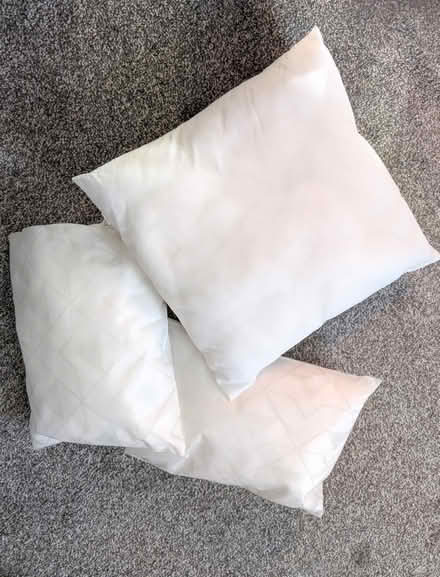 Photo of free Cushion inserts x 3 (Carmarthen) #1