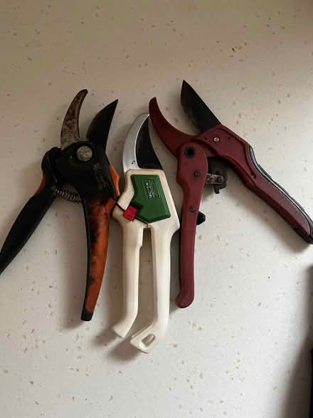 Photo of free Secateurs x3 (Mapperley NG5) #1