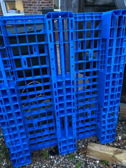 Photo of free Plastic Pallet - euro pallet size (Wroxham NR12) #2