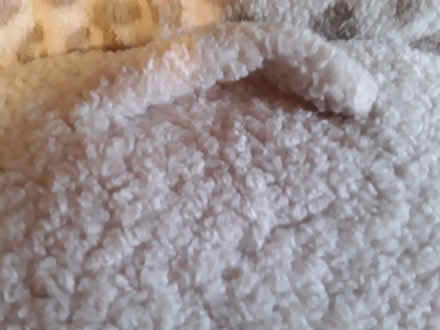 Photo of free Back/Lumber Support Cushion (Burneside LA8) #2