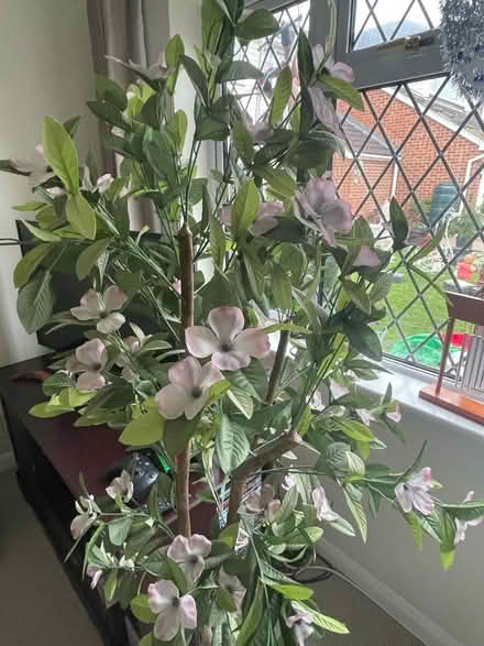 Photo of free Artificial plant (Holyport SL6) #2