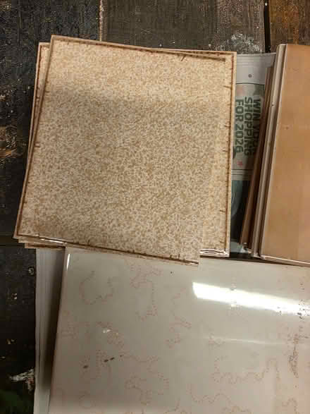 Photo of free Wall Tiles (Callowell GL5) #2