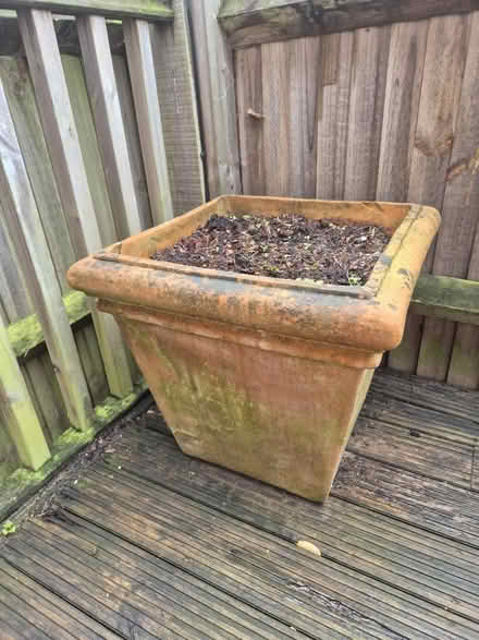 Photo of free Large Terracotta Planters (CT2) #2