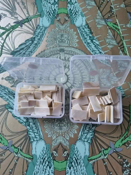 Photo of free Mother-of-Pearl (Fiveways Brighton) #2